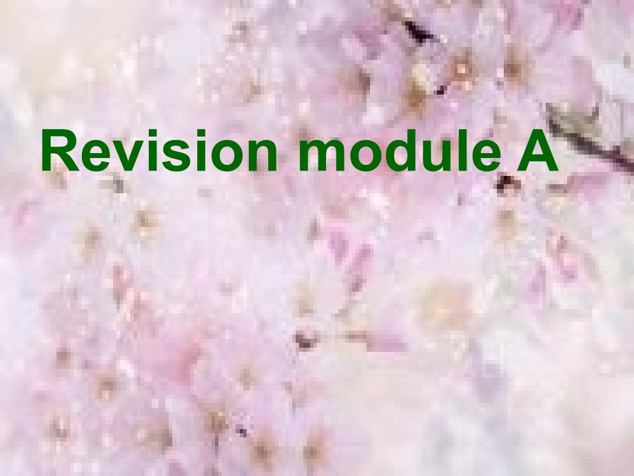 外研版九年级上册英语Revision_module_A参考ppt课件_第1页