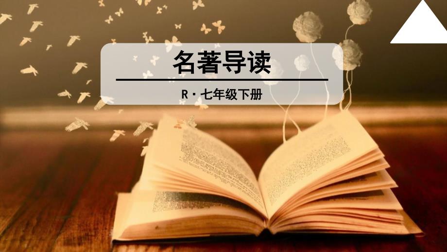 部编版初中语文七年级下册名著导读课件_第1页