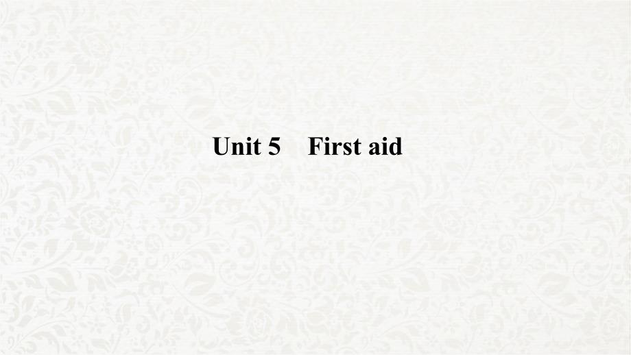 高三英语一轮复习优质ppt课件：-Unit-5-First-aid_第1页