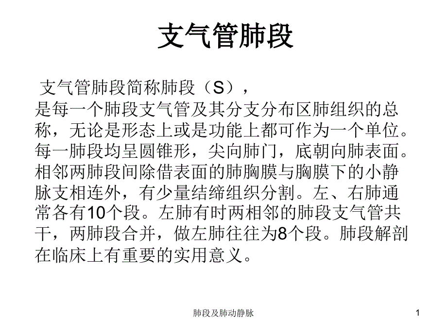 肺段及肺动静脉课件_第1页