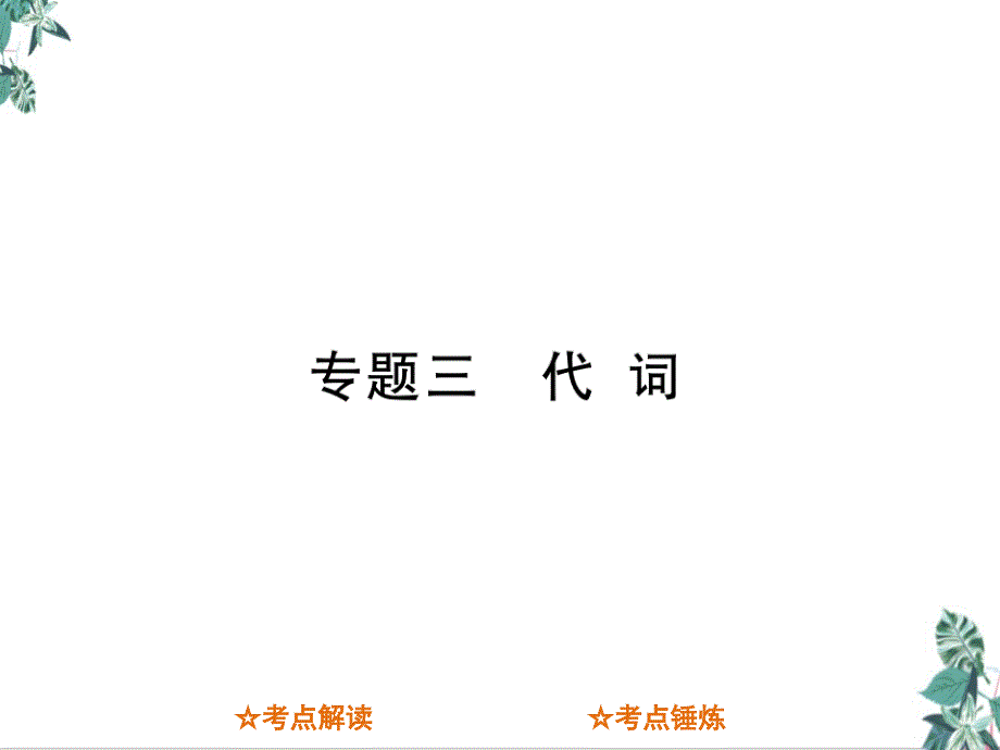 专题三代词中考英语总复习公开课课件_第1页