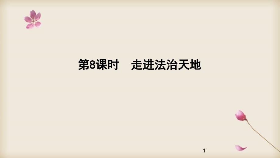 2020中考道德与法治专题复习ppt课件：专题8-走进法治天地_第1页