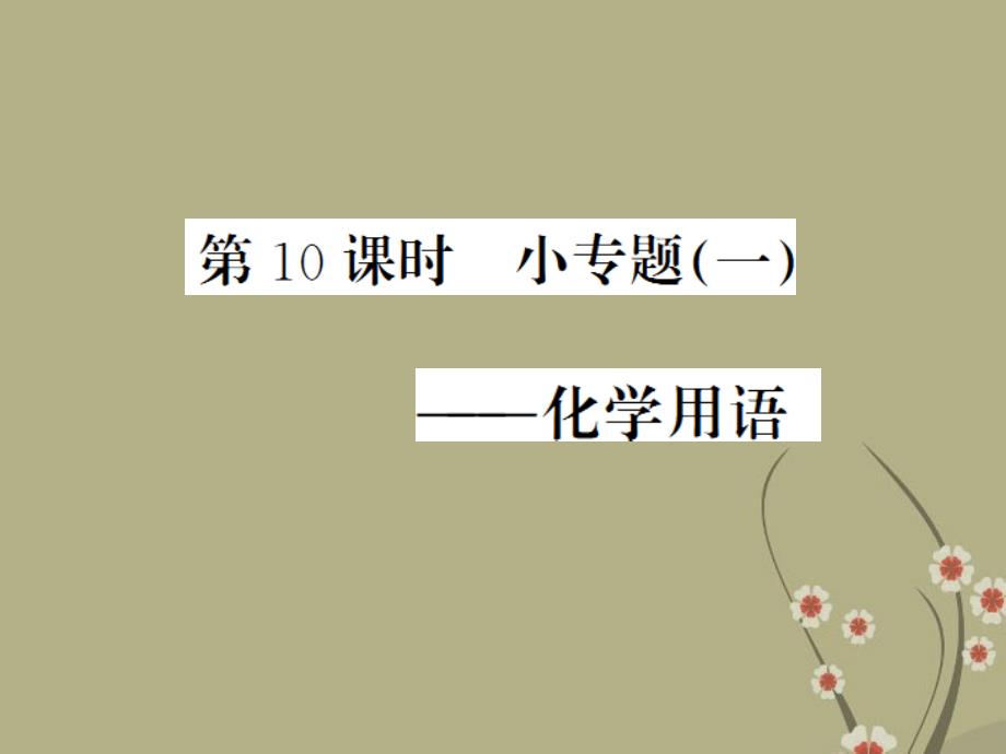 【中考新航线】中考化学一轮复习-夯实基础-第10课时-小专题1-化学用语ppt课件-新人教版_第1页