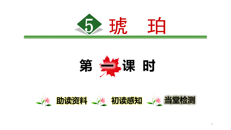 《琥珀》PPT(第一课时)课件_第1页