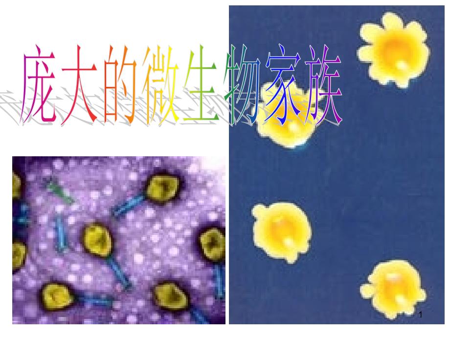 2021微生物基础知识(优秀)课件_第1页