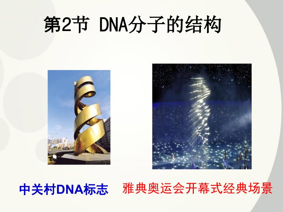 第二节-DNA分子的结构课件_第1页