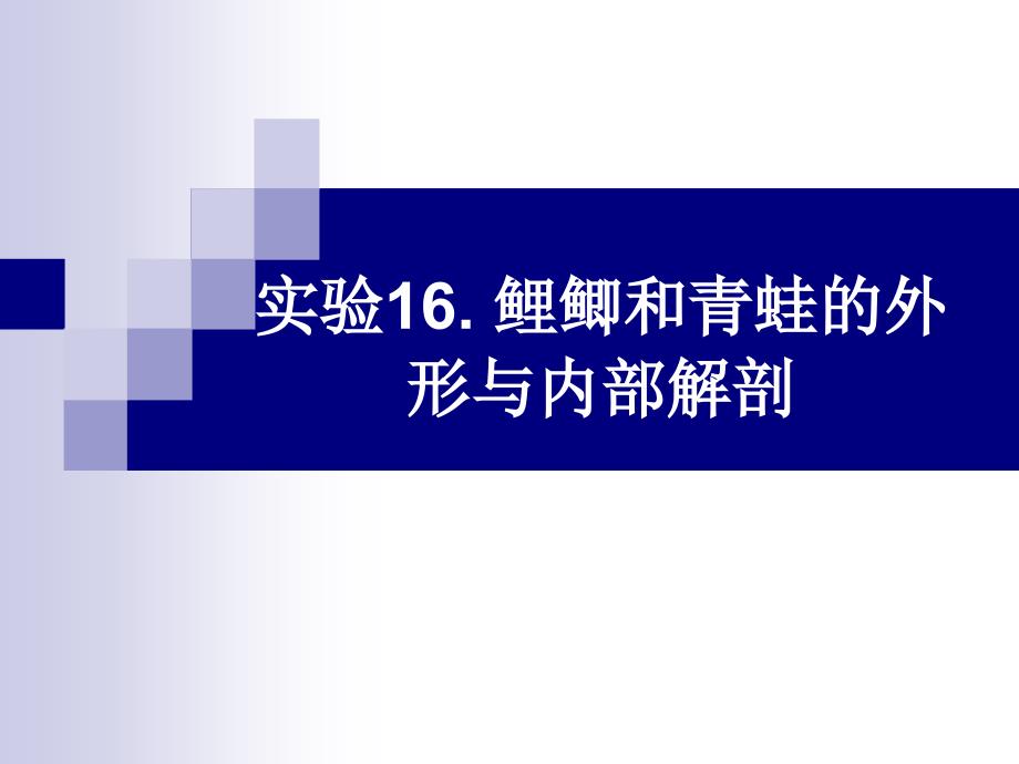 鲤鲫和青蛙的外形与内部解剖_第1页