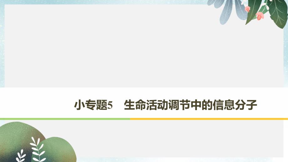 高考生物二轮复习专题五生命活动调节小专题5生命活动调节中的信息分子ppt课件_第1页