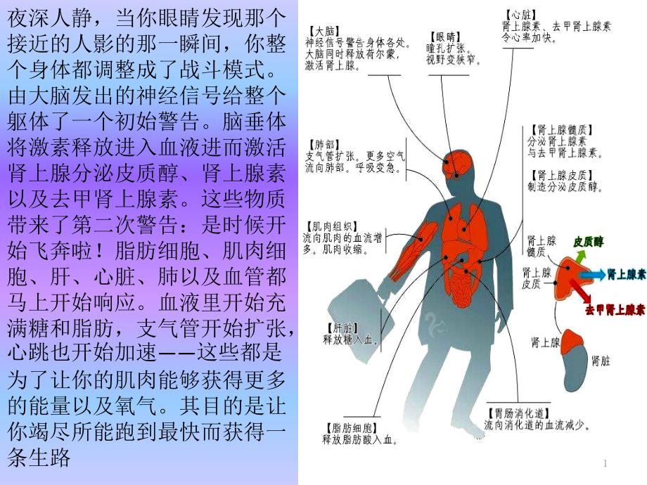 《激素与内分泌系统》ppt人教版课件_第1页