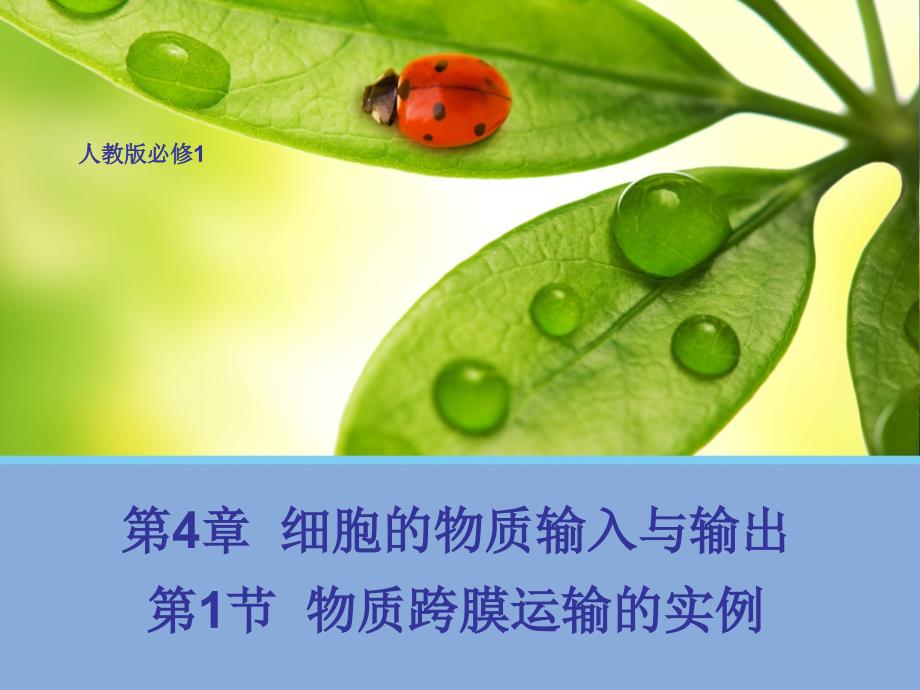 高中生物必修一物质跨膜运输的实例(一)课件_第1页