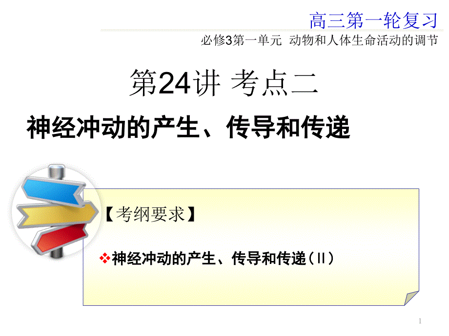 神经冲动的产生、传导和传递课件_第1页