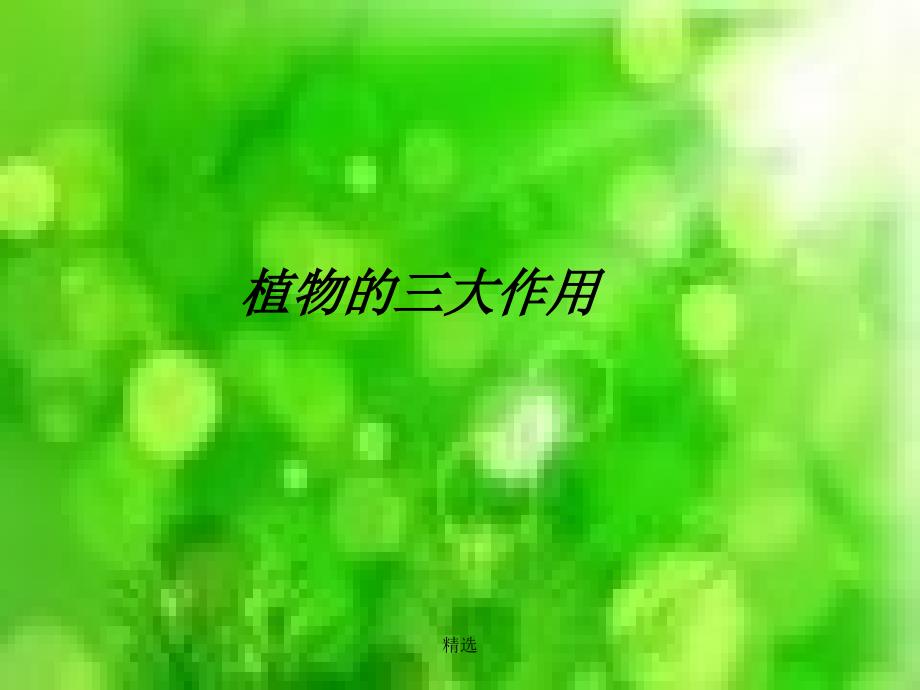 《植物的三大作用(复习)》课件_第1页