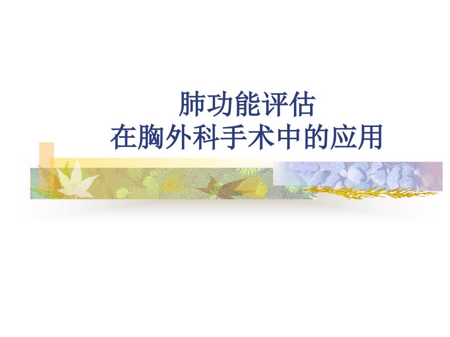 肺功能评估在胸外科手术中的应用课件_第1页