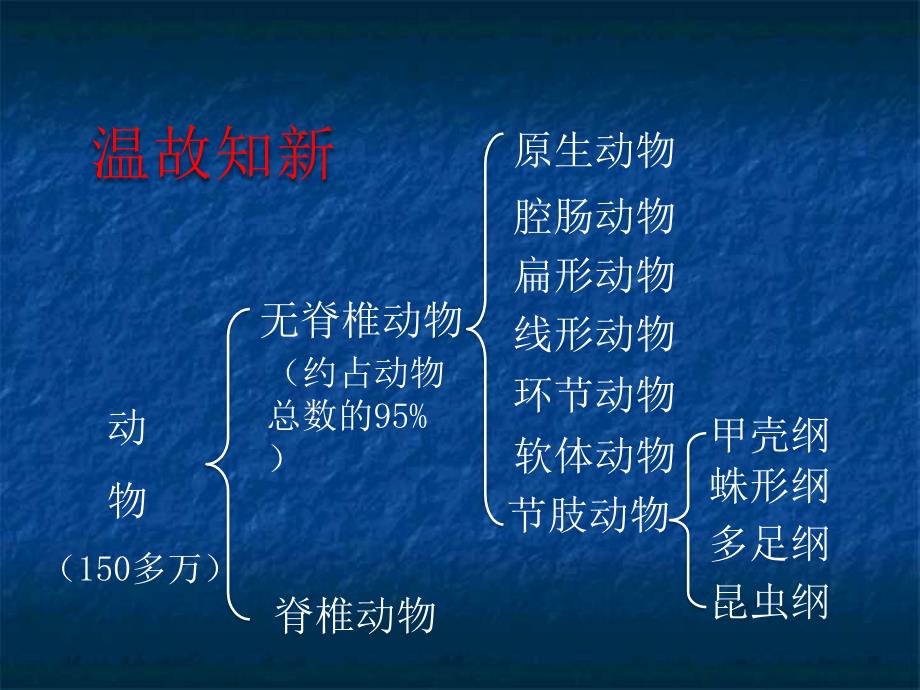 千姿百态的动物世界脊椎动物ppt课件2（苏教版八年级上册）_第1页