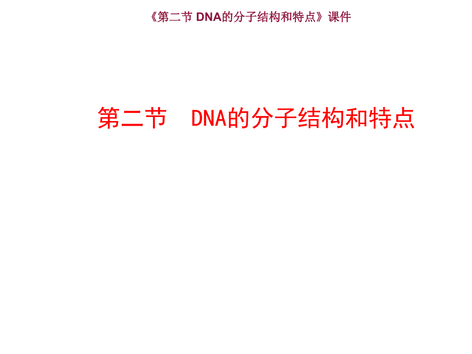 《第二节-DNA的分子结构和特点》ppt课件_第1页