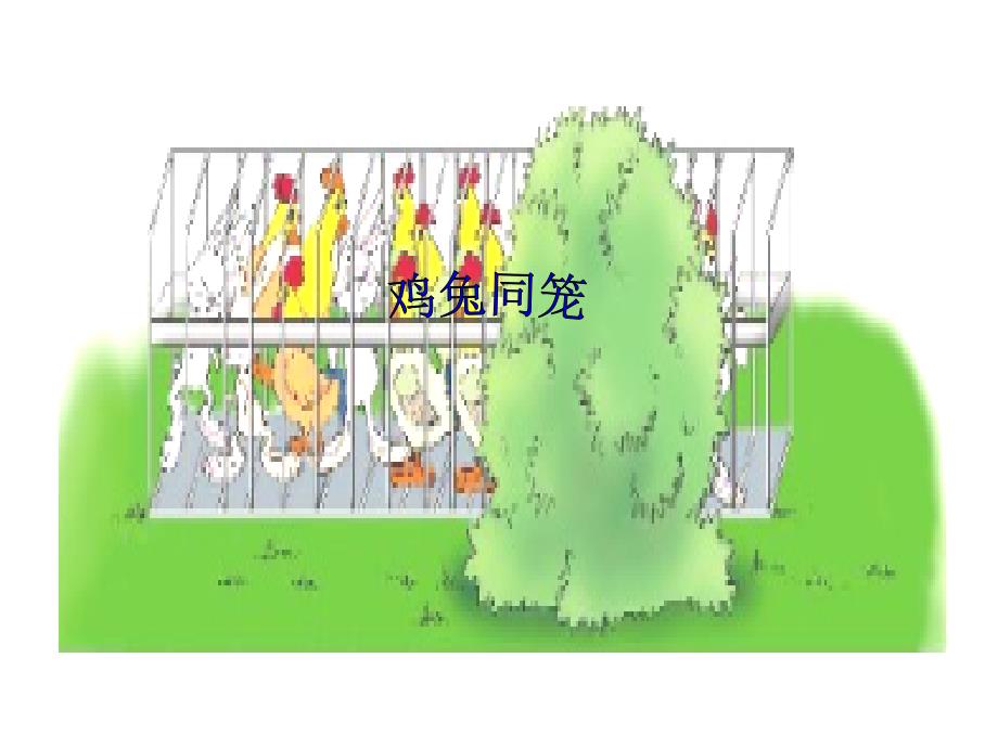 鸡兔同笼教学课件_第1页