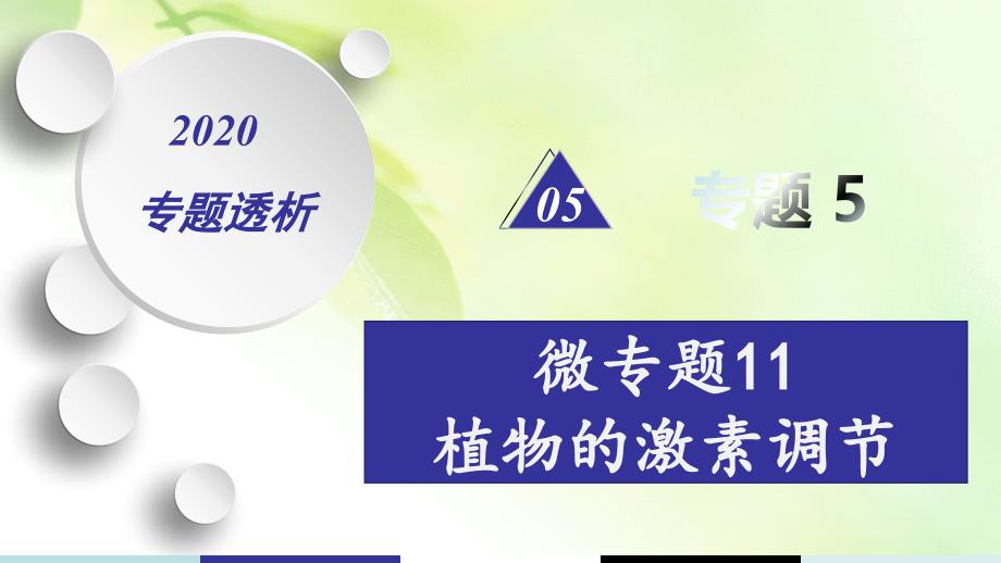 2020年高考高三生物二轮专题复习ppt课件专题5-微专题11-植物的激素调节_第1页