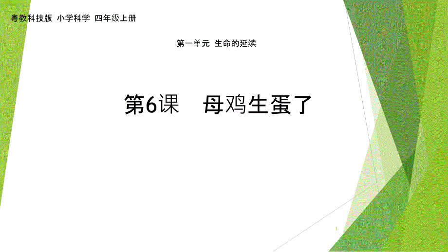 粤教粤科版四年级上册第6课《母鸡生蛋了》教学ppt课件_第1页