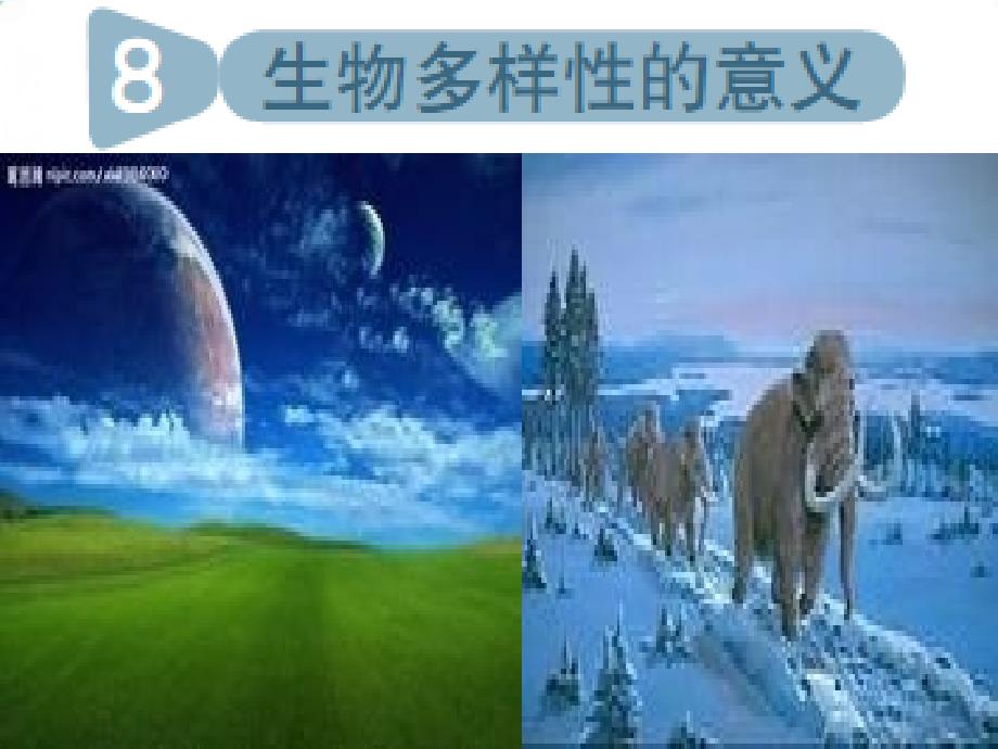 【教科版】科学ppt课件《生物多样性的意义》-优秀_第1页