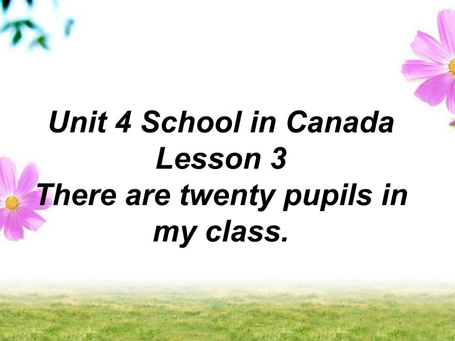 鲁科版五年级英语上册ppt课件Unit-4-School-in-Canada-Lesson-3-There-are-twenty-pupils-in-my-class_第1页