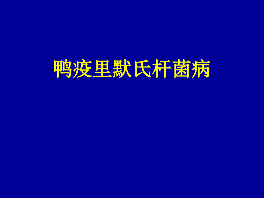 鸭疫里默氏杆菌病_第1页