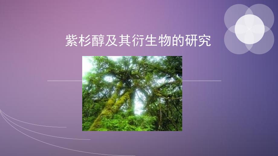 紫杉醇及其衍生物的研究课件_第1页