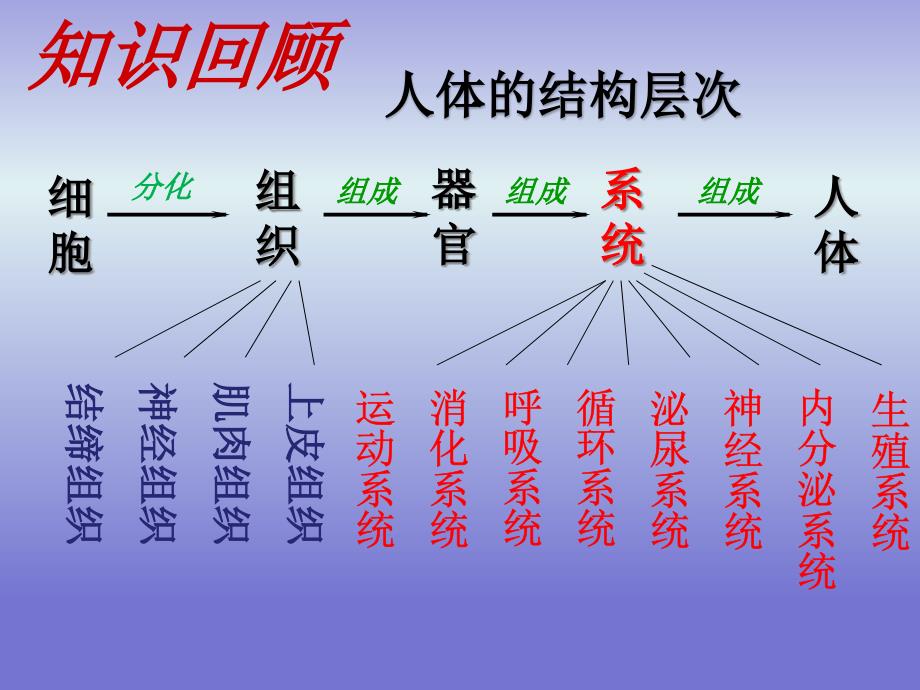 第四节--单细胞生物课件_第1页