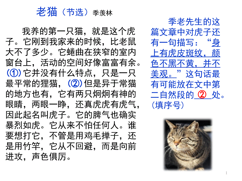 部编四下语文习作四《我的动物朋友》2021版课件_第1页