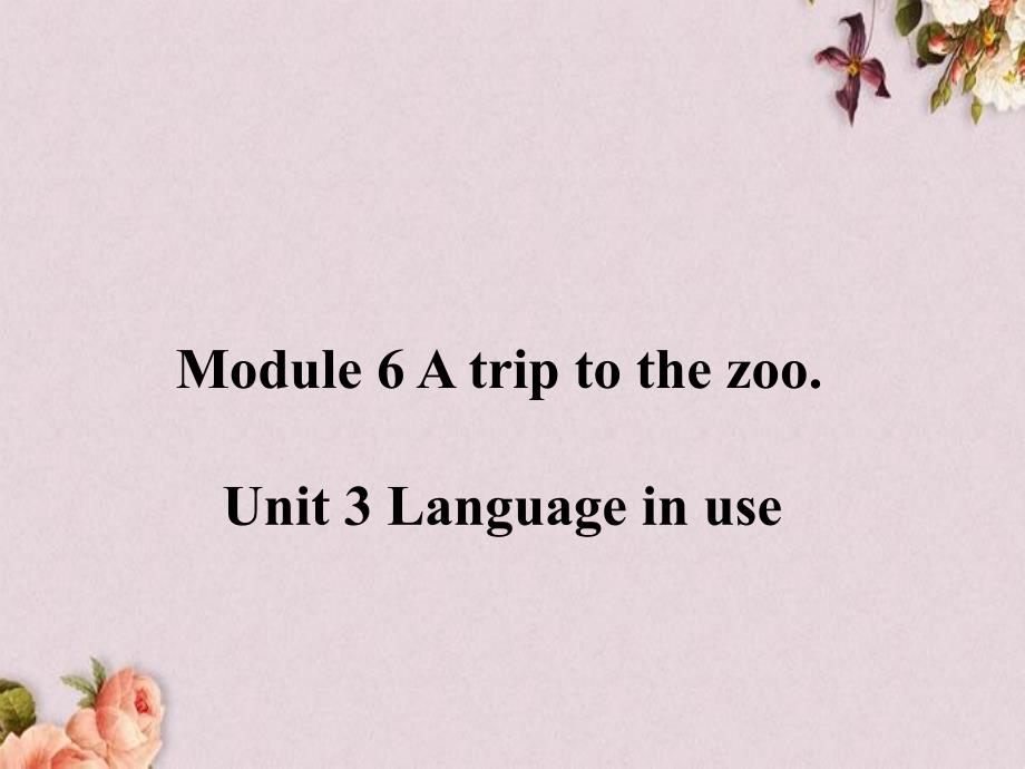 七年级英语上册-Module-6-A-trip-to-the-zoo-Unit-3-Language-in-useppt课件-(新版)外研版_第1页