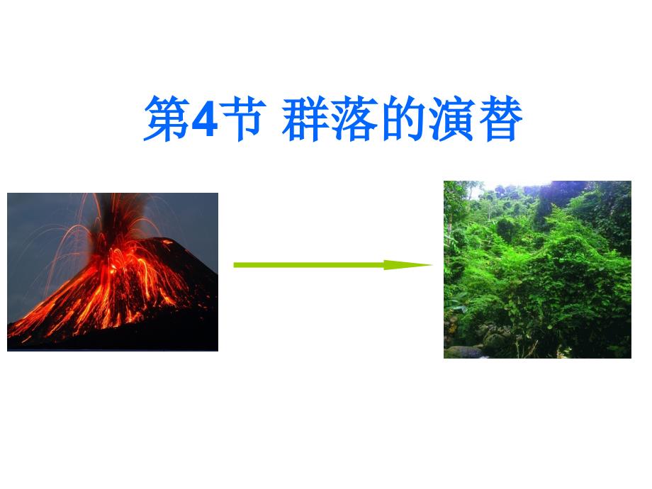 高中生物必修三群落的演替课件_第1页