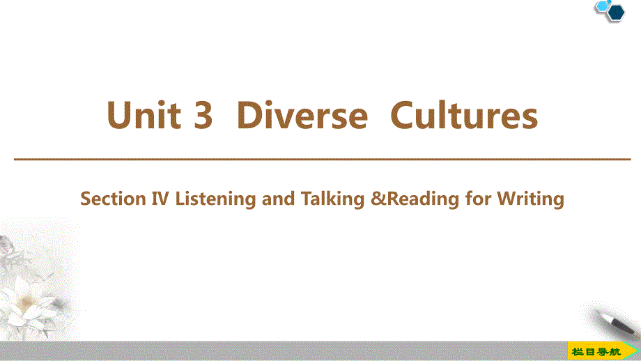 《DiverseCultures》SectionⅣ(完美版)ppt课件_第1页