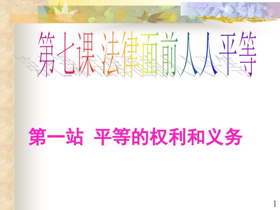 法律面前人人平等ppt课件5（政治北师大版八年级下册）_第1页