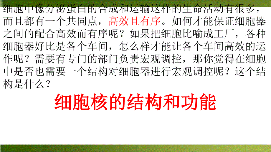 人教版高中生物细胞核的结构和功能优质教学课件_第1页