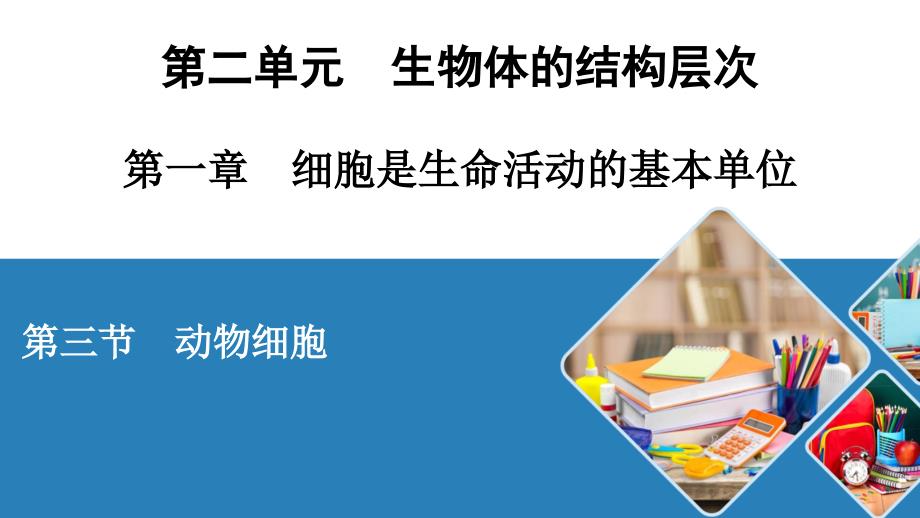 人教七年级生物上册-动物细胞课件_第1页