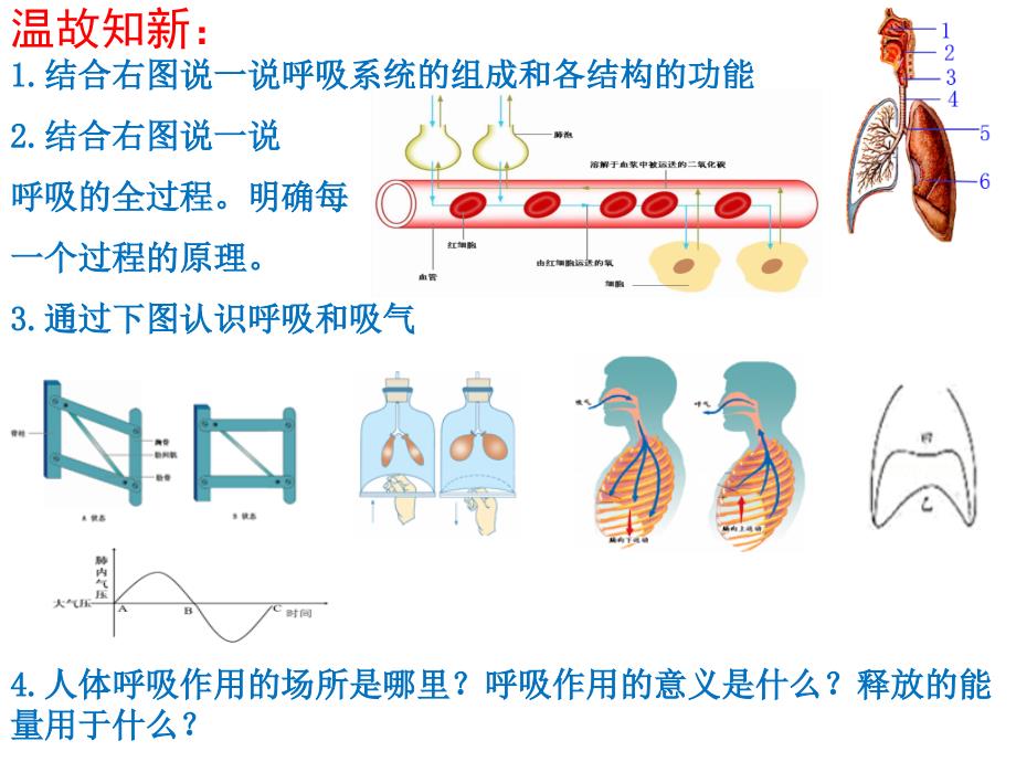 第三节-呼吸保健与急救课件_第1页