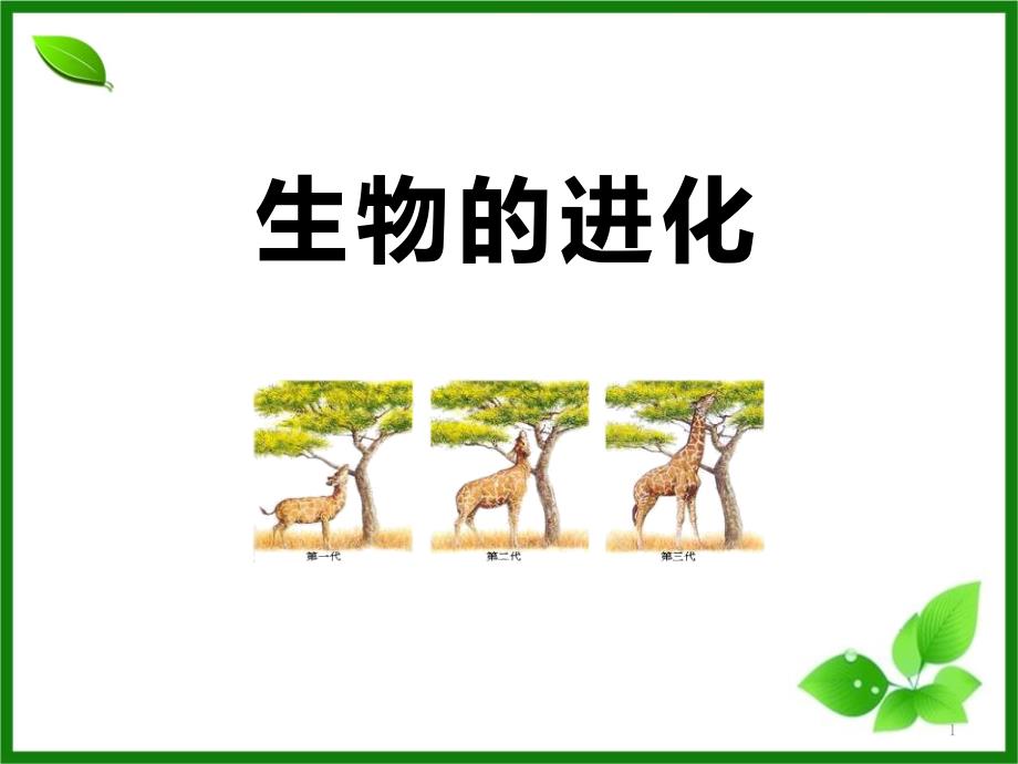 《生物的进化》获奖ppt课件_第1页