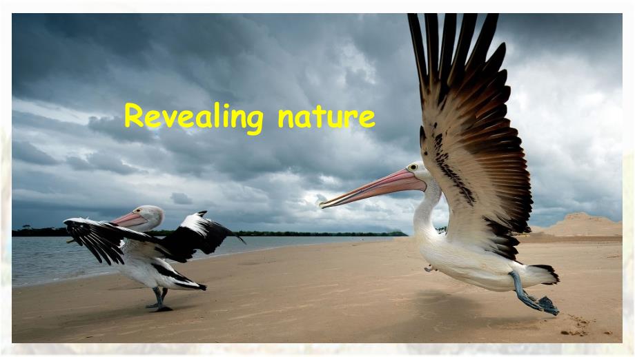 高中英语选修B1U5Revealing-nature-A-journey-of-discovery课件_第1页