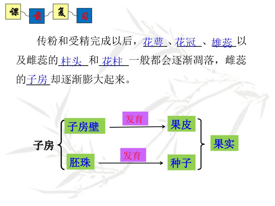 济南版生物八年级上册《种子的萌发》ppt课件_第1页