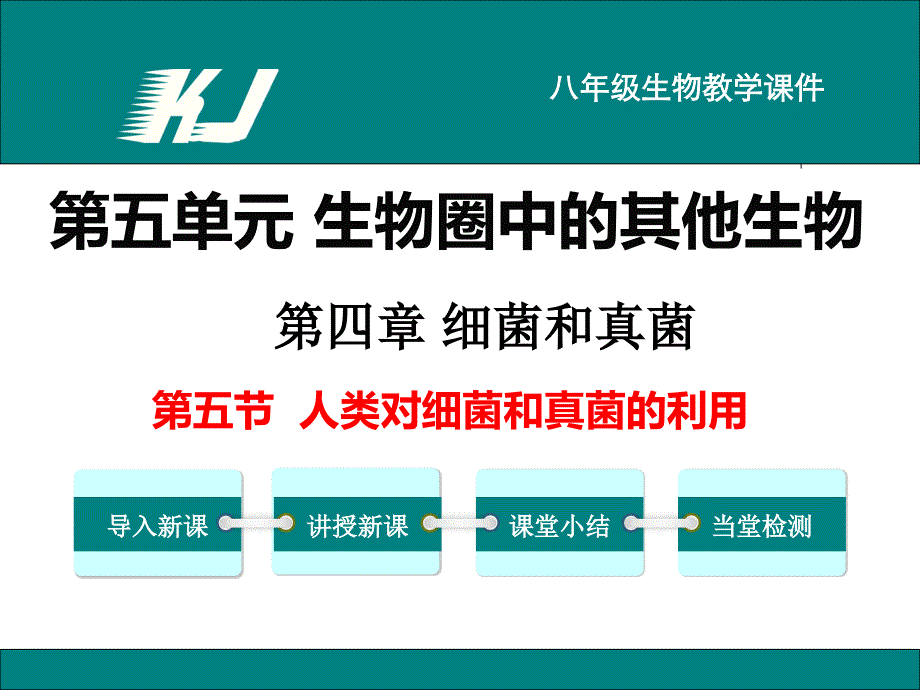 第五节--人类对细菌和真菌的利用课件_第1页