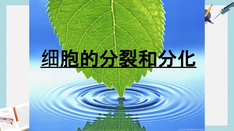 沪科版高中生命科学第二册第七章《细胞的分裂和分化》课件_第1页