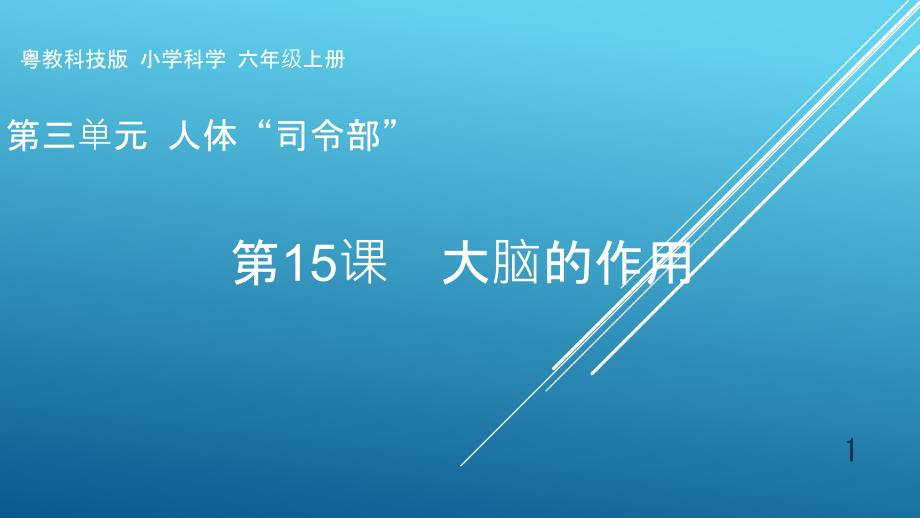 粤教版小学科学六年级上册第15课《大脑的作用》教学ppt课件_第1页