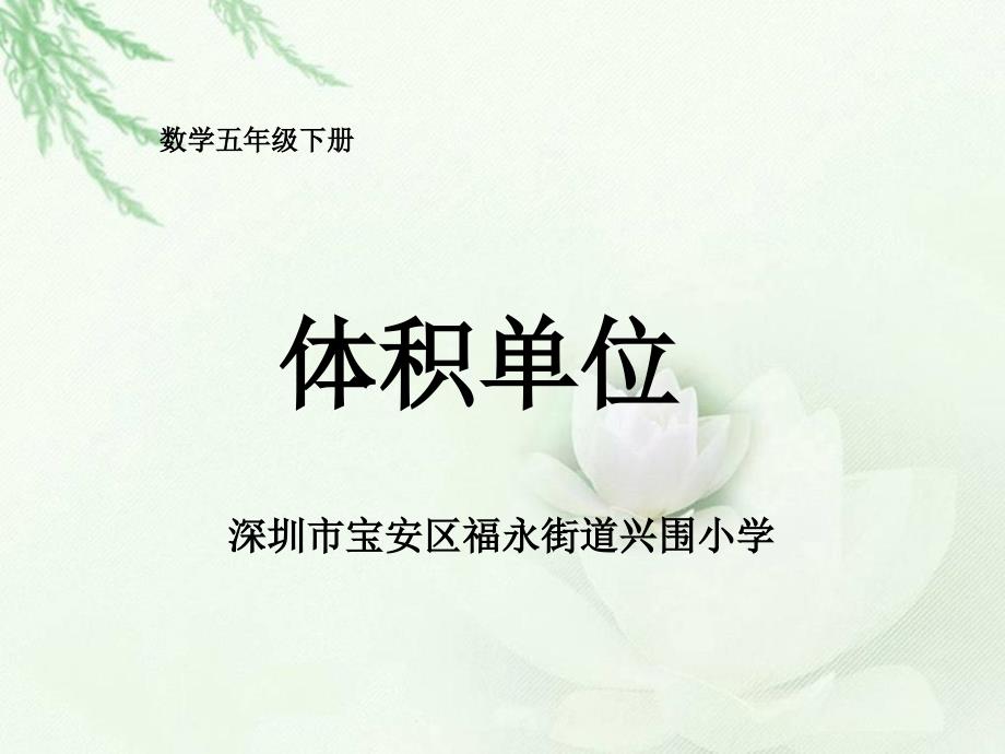 《体积单位》PPT北师大版小学数学课件_第1页