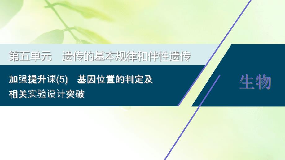 2021版新高考选考生物一轮复习通用版ppt课件：加强提升课(5)-基因位置的判定及相关实验设计突破_第1页