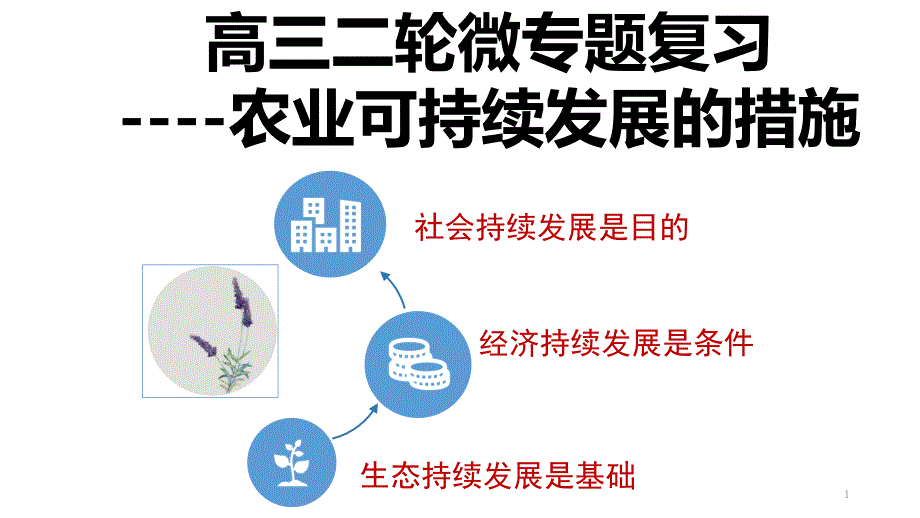 高三二轮微专题复习----农业可持续发展的措施(整理全面、例题多)课件_第1页