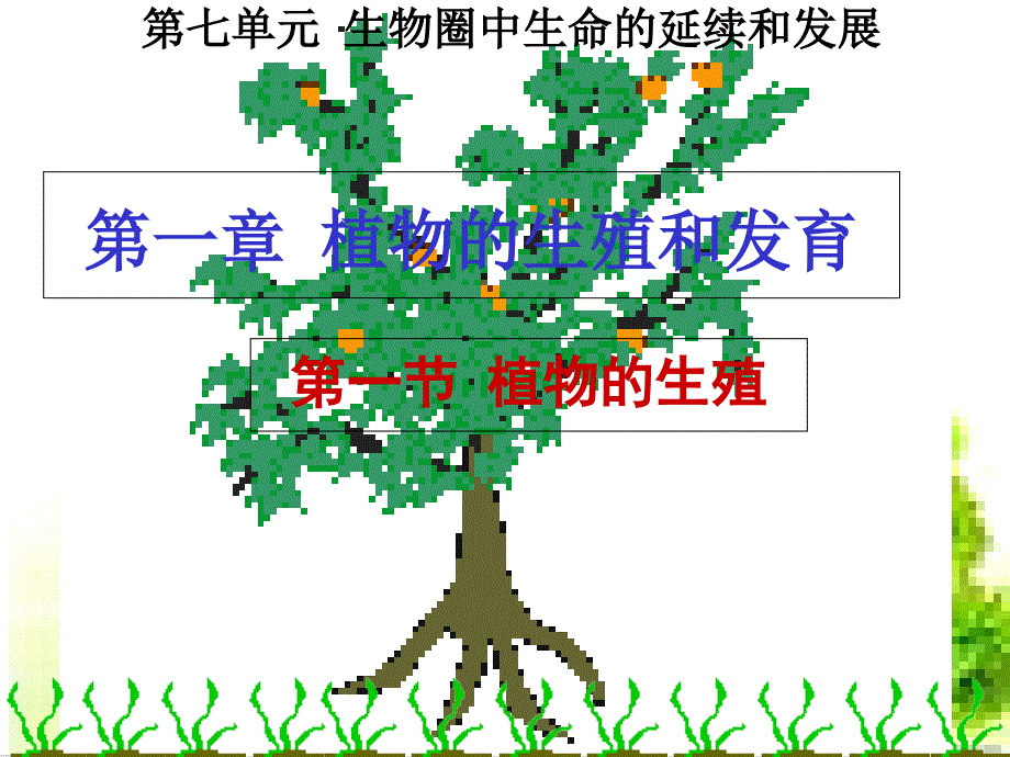 人教版植物的生殖完整版ppt课件_第1页