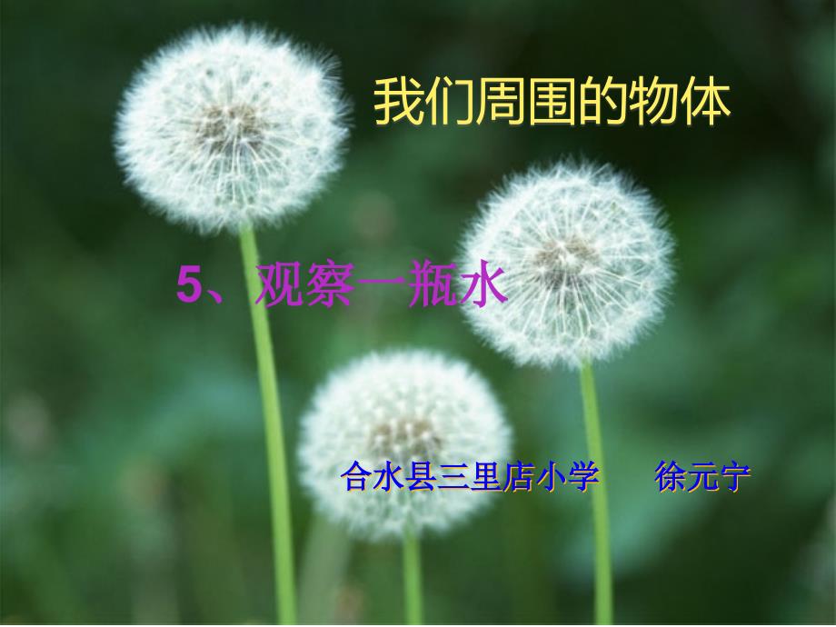 教科版一年级下册科学《5.观察一瓶水》课件_第1页