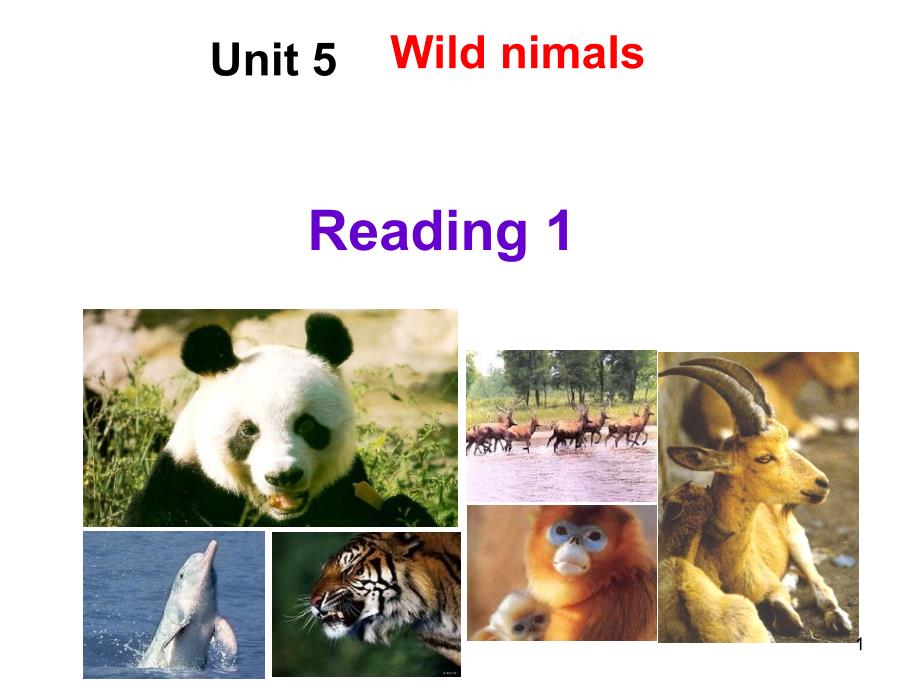 牛津译林版八年级英语上册《nit5WildanimalsReading1Giantpandas》优质课ppt课件_第1页