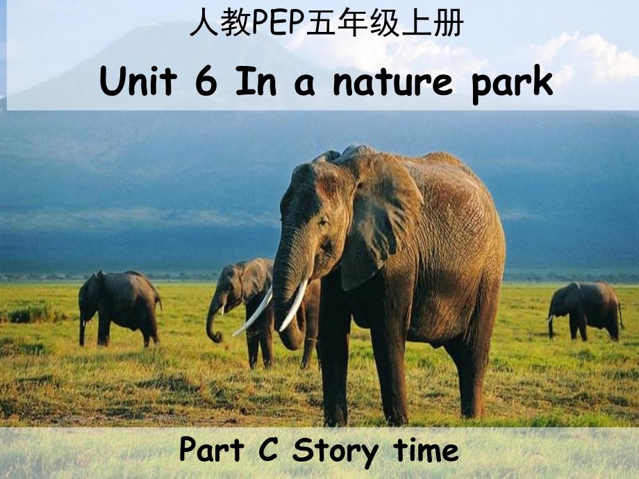 五年级上册英语ppt课件Unit6InanatureparkPCStorytime人教PEP版_第1页