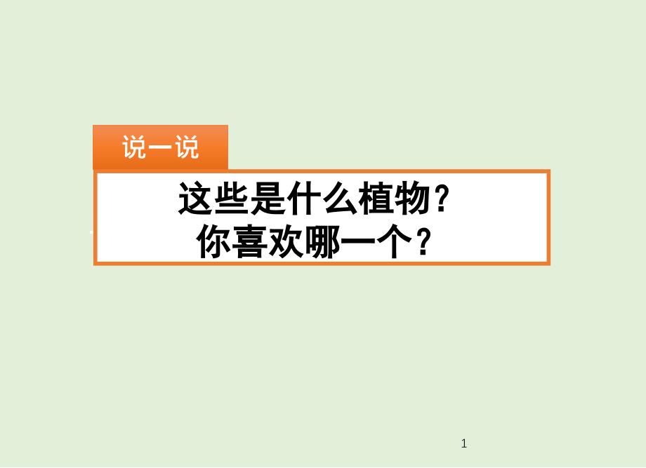 2020春部编版语文三年级下册-习作：我的植物朋友-课件_第1页