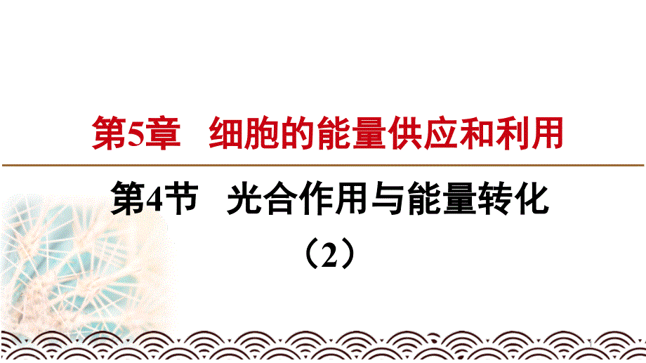 人教版新教材《光合作用与能量转化》课件_第1页